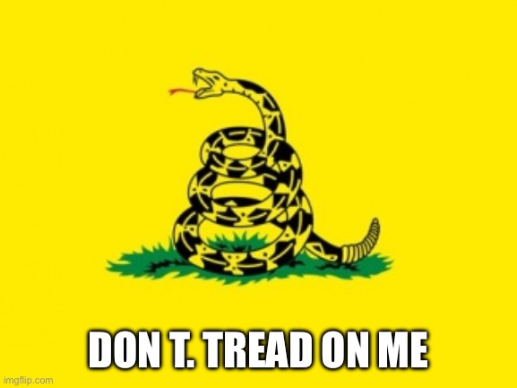 Gadsden Flag | Don T. Tread On Me | image tagged in gadsden flag | made w/ Imgflip meme maker