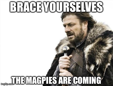 Brace Yourselves X is Coming Meme | BRACE YOURSELVES THE MAGPIES ARE COMING | image tagged in memes,brace yourselves x is coming | made w/ Imgflip meme maker