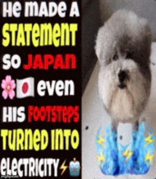 he made a statement so japan | image tagged in he made a statement so japan | made w/ Imgflip meme maker