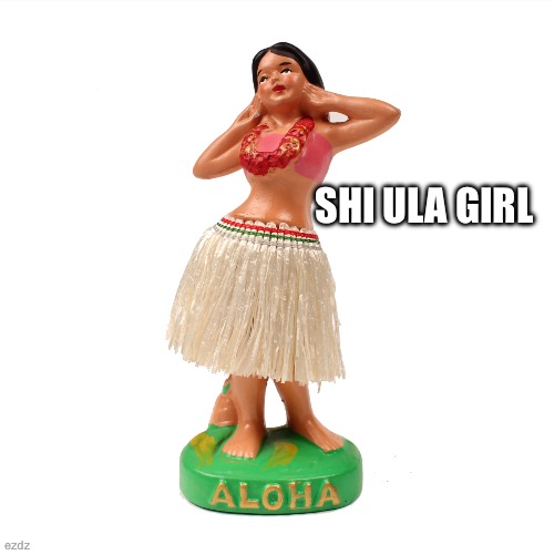 Hula | Shi ula girl | image tagged in hula girl | made w/ Imgflip meme maker