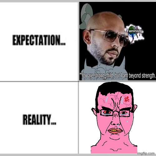 Who Andrew Tate thinks he is vs Who he really is | Feminists; , | image tagged in expectation vs reality,andrew tate,misogyny,sigma male,chudjak | made w/ Imgflip meme maker