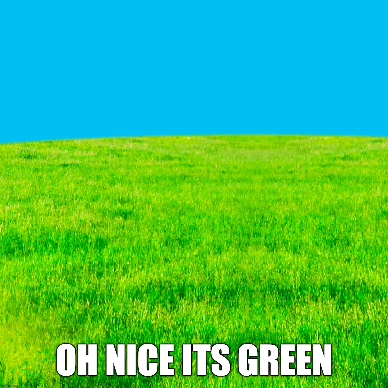 idk what put for title | oh nice its green | image tagged in greenest lawn ever,diejdjeddeed,memes | made w/ Imgflip meme maker