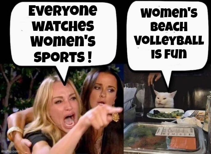 Don't eat the Cat | Everyone watches Women's sports ! Women's Beach Volleyball is fun | image tagged in don't eat the cat | made w/ Imgflip meme maker