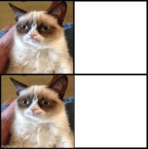 Grumpy cat drake Blank Meme Template