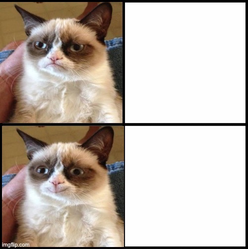 Here is my drake template | image tagged in grumpy cat drake,custom template | made w/ Imgflip meme maker