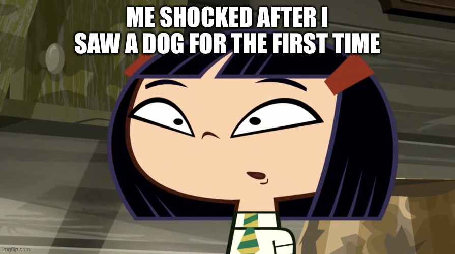 Dog Meme | Me Shocked After I Saw A Dog For The First Time | image tagged in shocked kitty | made w/ Imgflip meme maker