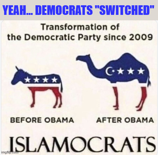 Yeah... democrats "switched" | made w/ Imgflip meme maker