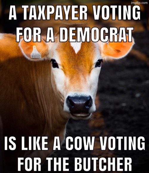 That's totally correct | image tagged in libtards,democrats,minor case of serious brain damage,let's raise their taxes,duhhh dumbass,do you are have stupid | made w/ Imgflip meme maker