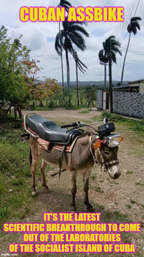Cuban assbike | Cuban assbike; It's the latest scientific breakthrough to come out of the laboratories of the socialist island of Cuba | image tagged in donkey,cuba,motorcycle,innovation,communism,funny | made w/ Imgflip meme maker