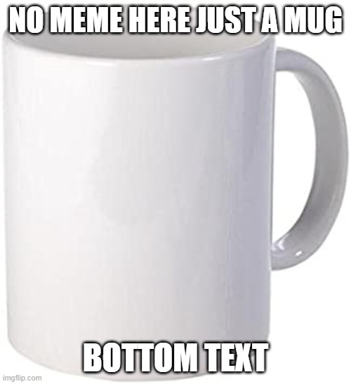 mug | no meme here just a mug; bottom text | image tagged in blank mug | made w/ Imgflip meme maker
