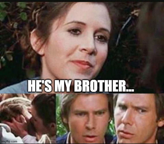 Um, You Kissed Your Brother | he's my brother... | image tagged in star wars,leia,han solo | made w/ Imgflip meme maker