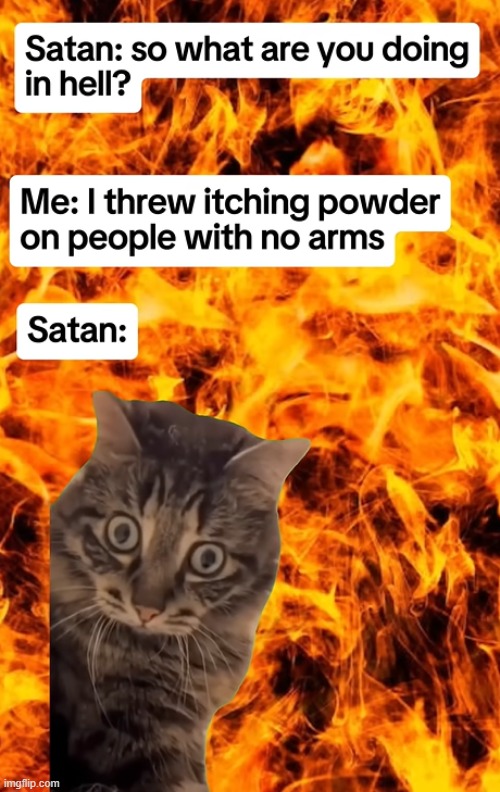 First meme, hope yall like :) | image tagged in wth,lol so funny | made w/ Imgflip meme maker