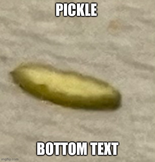 Creative titles | Pickle; Bottom text | image tagged in pickle,bottom text | made w/ Imgflip meme maker