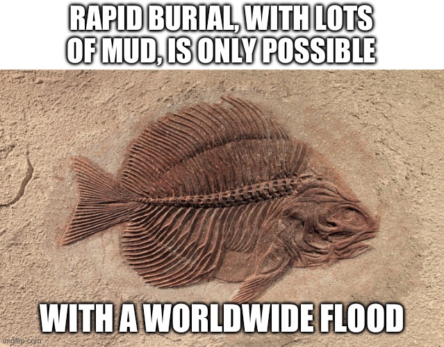 Flood fish Blank Meme Template