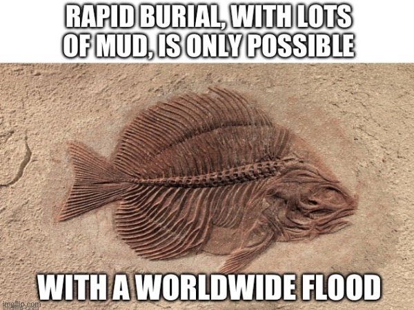 The flood | image tagged in creationism,memes,gifs,christianity | made w/ Imgflip meme maker