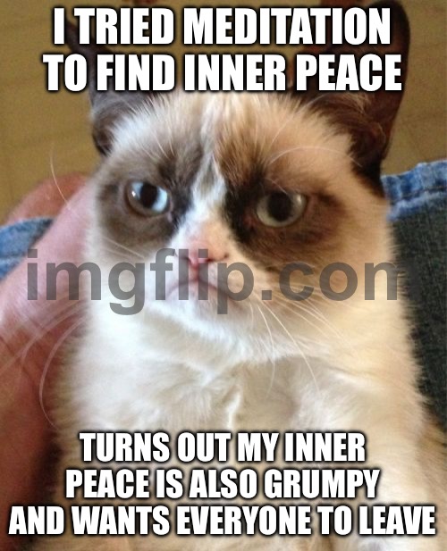 TURNS OUT MY INNER PEACE IS ALSO GRUMPY AND WANTS EVERYONE TO LEAVE | I TRIED MEDITATION TO FIND INNER PEACE; TURNS OUT MY INNER PEACE IS ALSO GRUMPY AND WANTS EVERYONE TO LEAVE | image tagged in memes,grumpy cat,remix,grumpy,peace,meditation | made w/ Imgflip meme maker