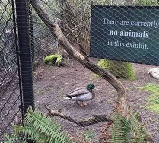 . | image tagged in funny signs | made w/ Imgflip meme maker