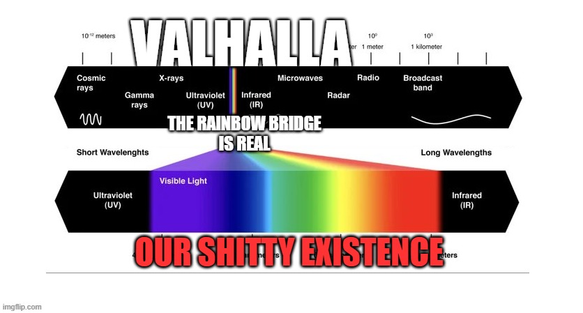 valhalla | valhalla; the rainbow bridge
is real; our shitty existence | image tagged in funny memes | made w/ Imgflip meme maker
