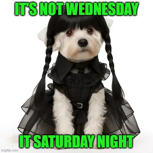 Not Wednesday | it's not Wednesday; it Saturday night | image tagged in wednesday addams,it is wednesday my dudes,addams family | made w/ Imgflip meme maker