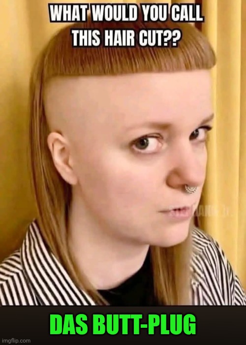 Funny | Das butt-plug | image tagged in funny,hairstyle,hair,haircut,bad hair day,i call it _____ | made w/ Imgflip meme maker