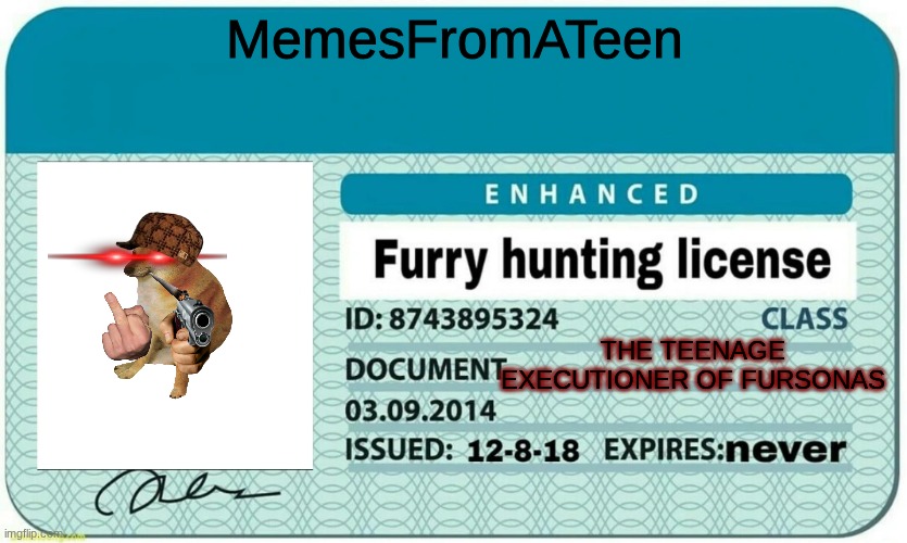 I hope brotherwhat is proud | MemesFromATeen; the teenage executioner of fursonas | image tagged in furry hunting license,doge,anti furry | made w/ Imgflip meme maker