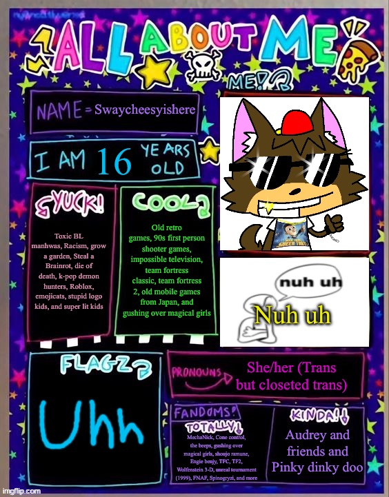Untitled | Swaycheesyishere; 16; Old retro games, 90s first person shooter games, impossible television, team fortress classic, team fortress 2, old mobile games from Japan, and gushing over magical girls; Toxic BL manhwas, Racism, grow a garden, Steal a Brainrot, die of death, k-pop demon hunters, Roblox, emojicats, stupid logo kids, and super lit kids; Nuh uh; She/her (Trans but closeted trans); Audrey and friends and Pinky dinky doo; MechaNick, Cone control, the beeps, gushing over magical girls, shoujo ramune, Engie benjy, TFC, TF2, Wolfenstein 3-D, unreal tournament (1999), FNAF, Spinogryzi, and more | image tagged in all about me og temp by jade | made w/ Imgflip meme maker