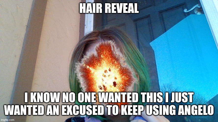 I just wanna keep using angelo | hair reveal; I know no one wanted this I just wanted an excused to keep using Angelo | image tagged in face reveal,hair,idk what to put here,why are you reading the tags | made w/ Imgflip meme maker