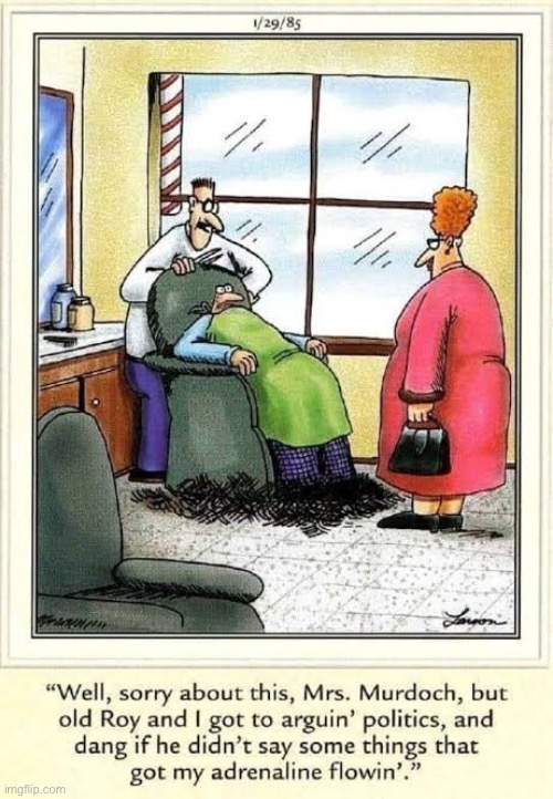 What the heck?! | image tagged in the far side,comics,barber shop,argument,politics,too much off the top | made w/ Imgflip meme maker
