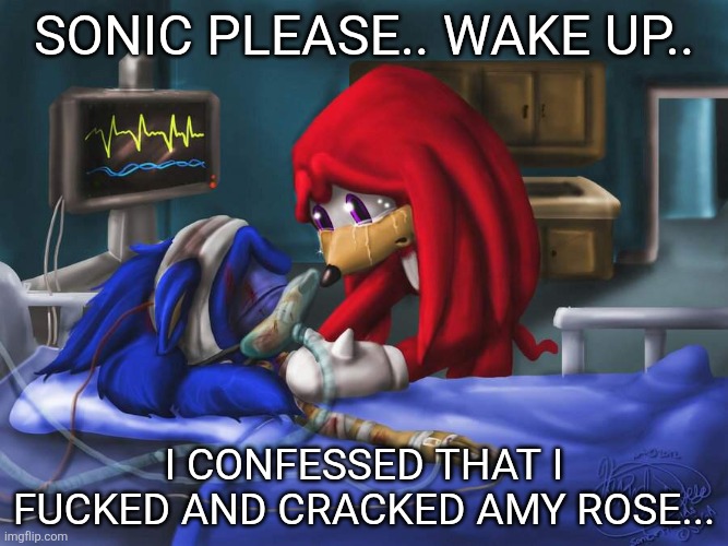 sonic please | Sonic please.. wake up.. I confessed that i fucked and cracked amy rose... | image tagged in sonic please | made w/ Imgflip meme maker