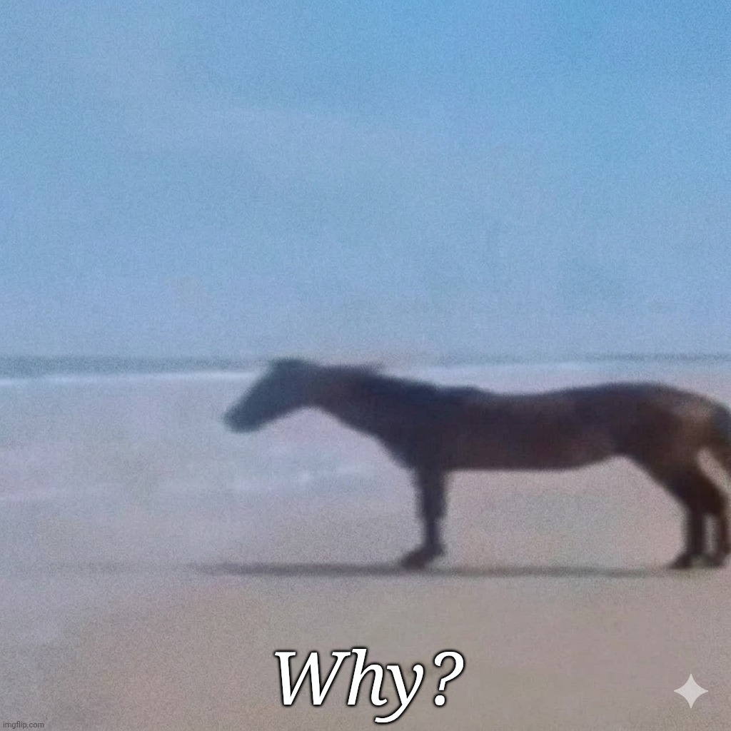 Horse Why? Meme | Why? | image tagged in horse why blank,horse,memes,funny | made w/ Imgflip meme maker