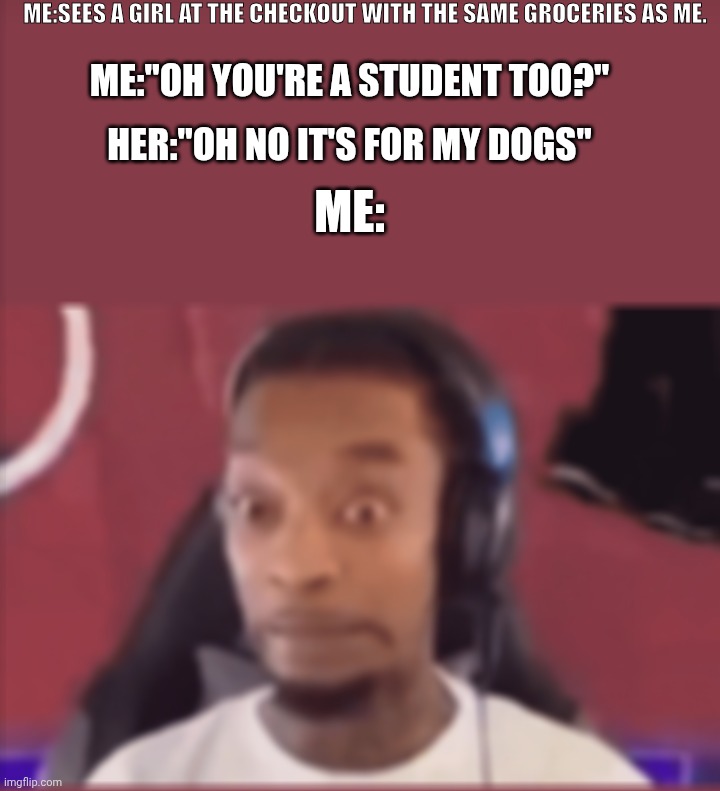 Me | Me:sees a girl at the checkout with the same groceries as me. Me:"oh you're a student too?"; Her:"Oh no it's for my dogs"; Me: | image tagged in funny memes,fun | made w/ Imgflip meme maker