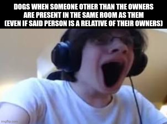Dogs when someone other than the owners are present in the same room as them (even if said person is a relative of their owners) | image tagged in memes,doggy,barking | made w/ Imgflip meme maker