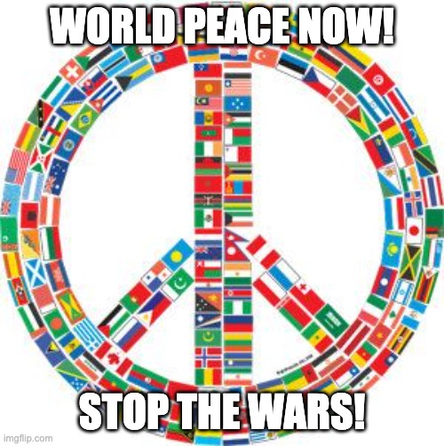 PEACE NOW! | WORLD PEACE NOW! STOP THE WARS! | image tagged in world peace,peace,war | made w/ Imgflip meme maker