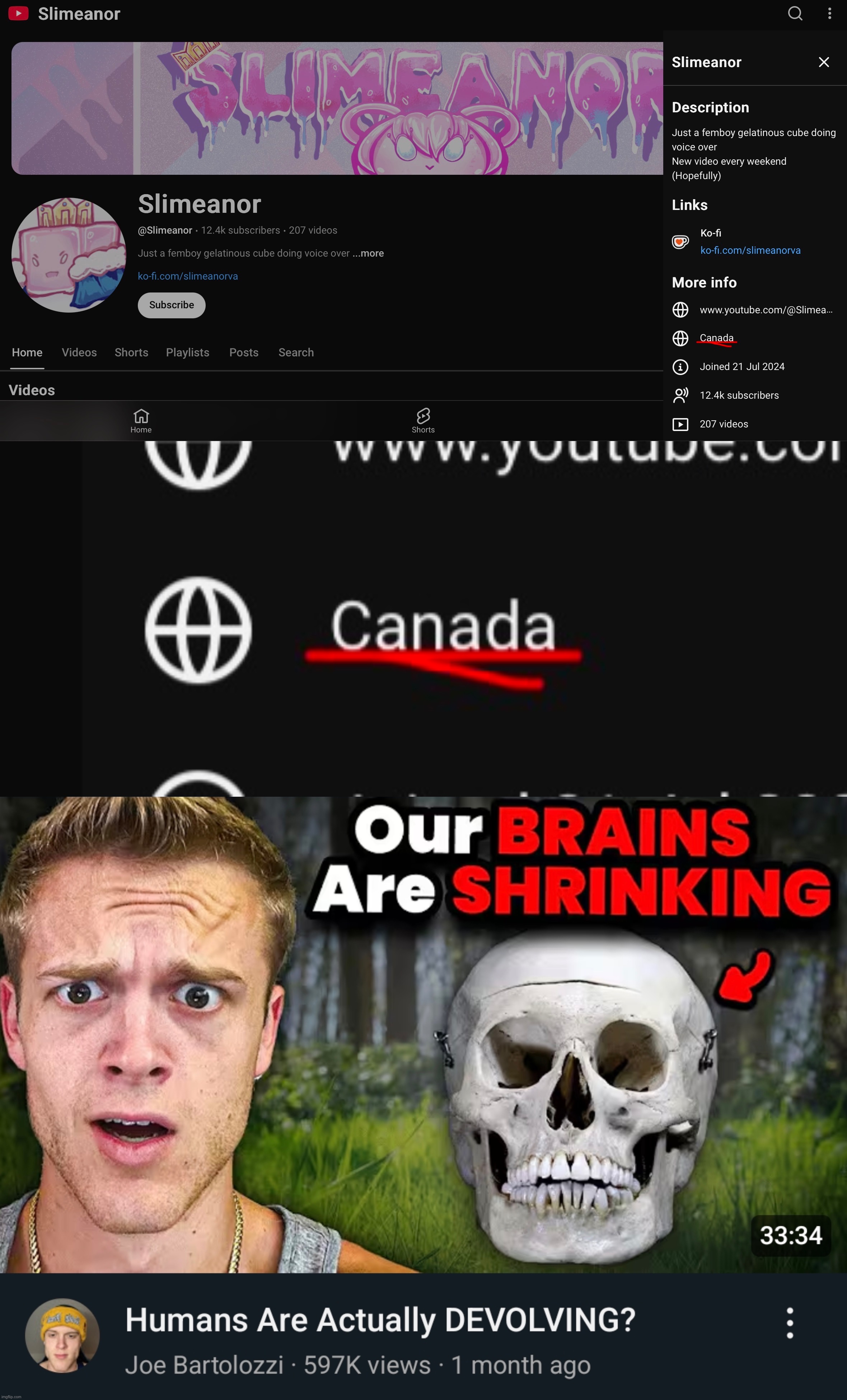 image tagged in our brains are shrinking | made w/ Imgflip meme maker