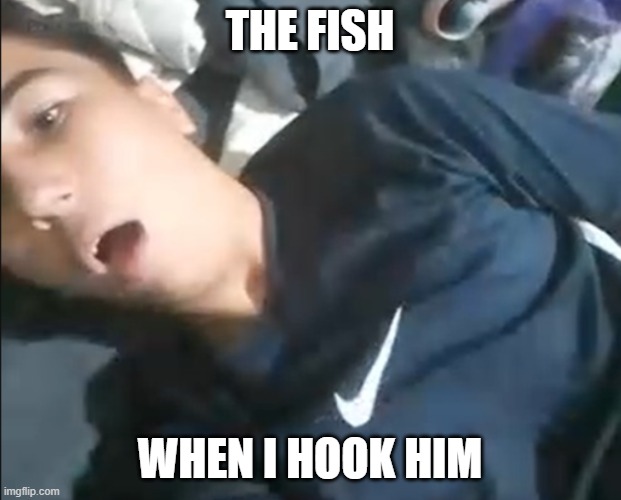 Marlon in bed | The fish; When i hook him | image tagged in marlon in bed | made w/ Imgflip meme maker