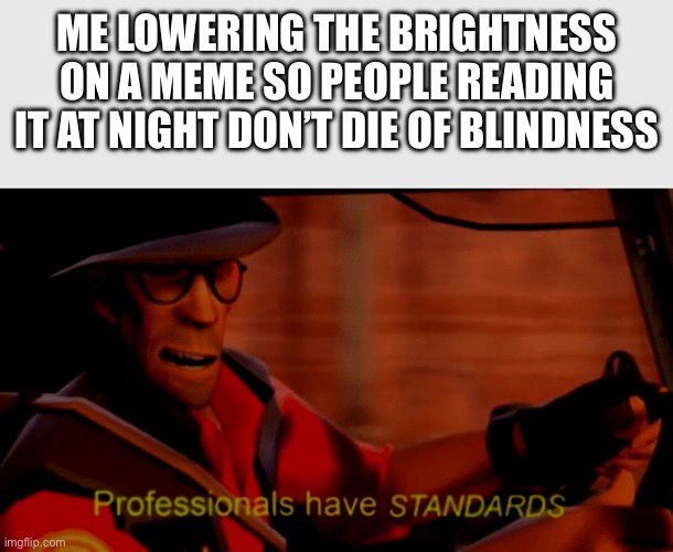 As a night meme maker this helps a LOT more than you think | Me lowering the brightness on a meme so people reading it at night don’t die of blindness | image tagged in professionals have standards,memes,meme,funny memes,tag,you have been eternally cursed for reading the tags | made w/ Imgflip meme maker