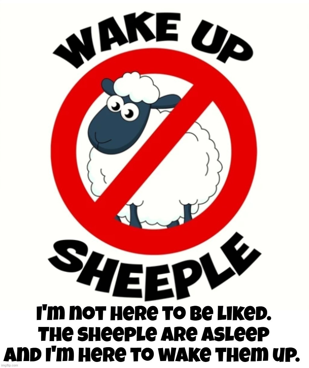 I'm not here to be liked. The sheeple are asleep and I'm here to wake them up. | image tagged in stupid people be like,democrats,liberals,useful idiots,sheeple,crush the commies | made w/ Imgflip meme maker