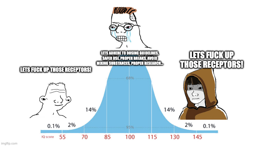 Normal Distribution meme | lets adhere to dosing guidelines, safer use, proper breaks, avoid mixing substances, proper research... lets fuck up those receptors! lets fuck up those receptors! | image tagged in normal distribution meme | made w/ Imgflip meme maker