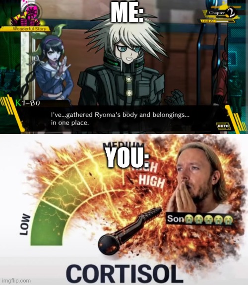 Me: You: | image tagged in son high cortisol | made w/ Imgflip meme maker