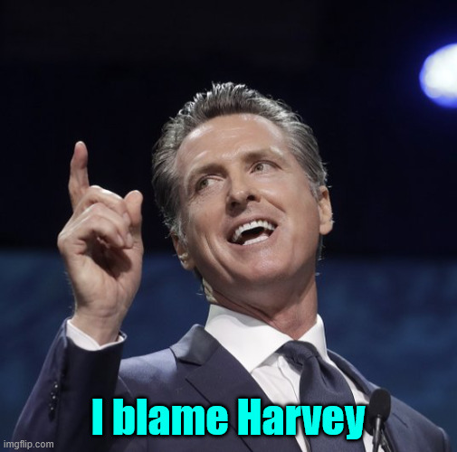 Gavin newsom | I blame Harvey | image tagged in gavin newsom | made w/ Imgflip meme maker