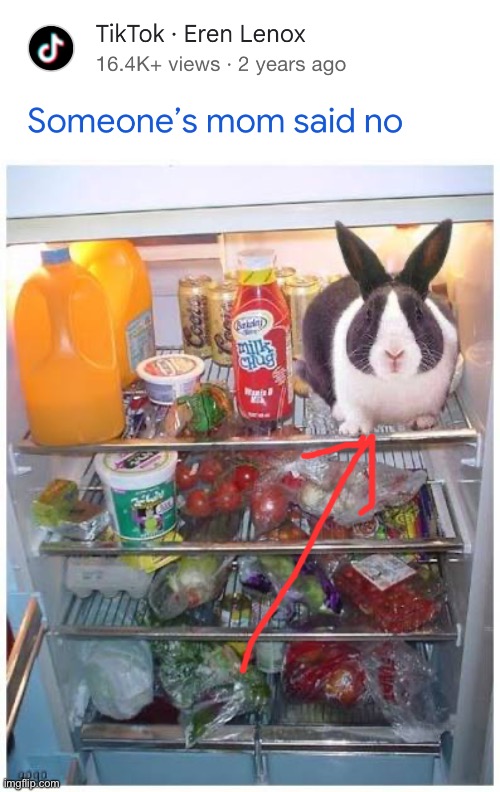 Look at what’s in the fridge | image tagged in mom said no again,lol | made w/ Imgflip meme maker