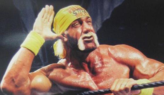 High Quality Hulk Hogan Ear Blank Meme Template