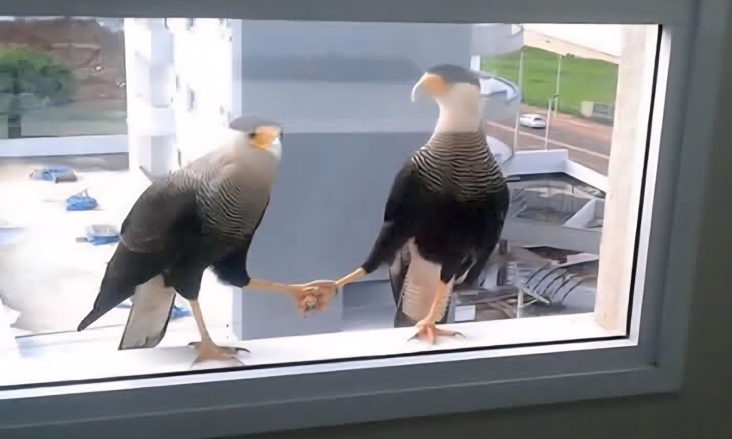 Bird Handshake Blank Meme Template