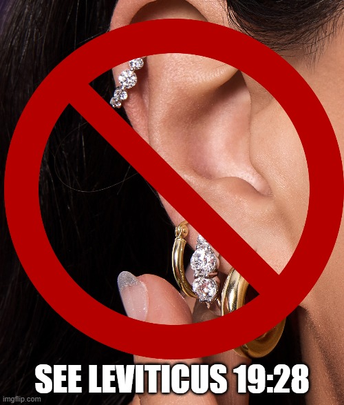 A Sign for Leviticus 19:28 | SEE LEVITICUS 19:28 | image tagged in bible verse,piercings,earrings,jewelry | made w/ Imgflip meme maker