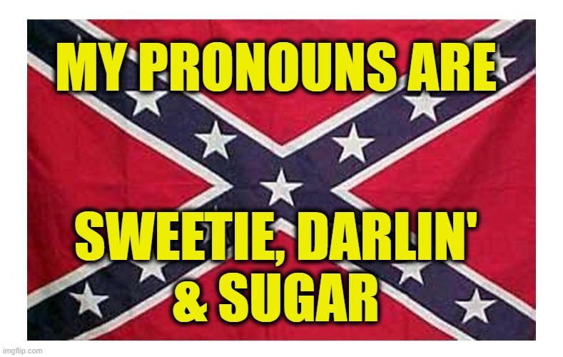 Southern Pride | My pronouns are; Sweetie, darlin'
& sugar | image tagged in southern | made w/ Imgflip meme maker