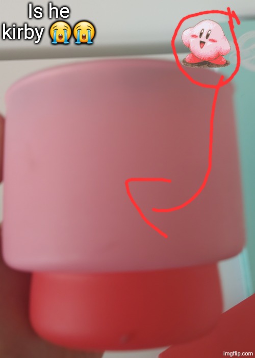 Ladies and gentlemen we found kirby | Is he kirby 😭😭 | image tagged in kirby | made w/ Imgflip meme maker