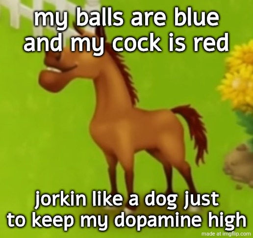 hayday horse | my balls are blue and my cock is red; jorkin like a dog just to keep my dopamine high | image tagged in hayday horse | made w/ Imgflip meme maker