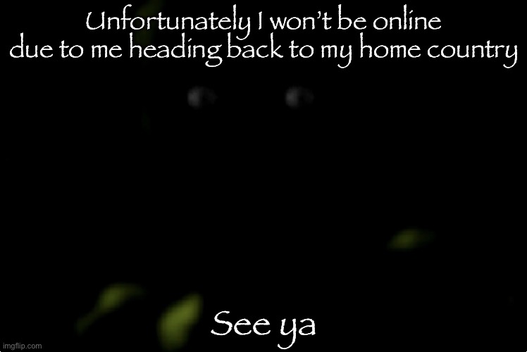 Springtrap stare | Unfortunately I won’t be online due to me heading back to my home country; See ya | image tagged in springtrap stare | made w/ Imgflip meme maker