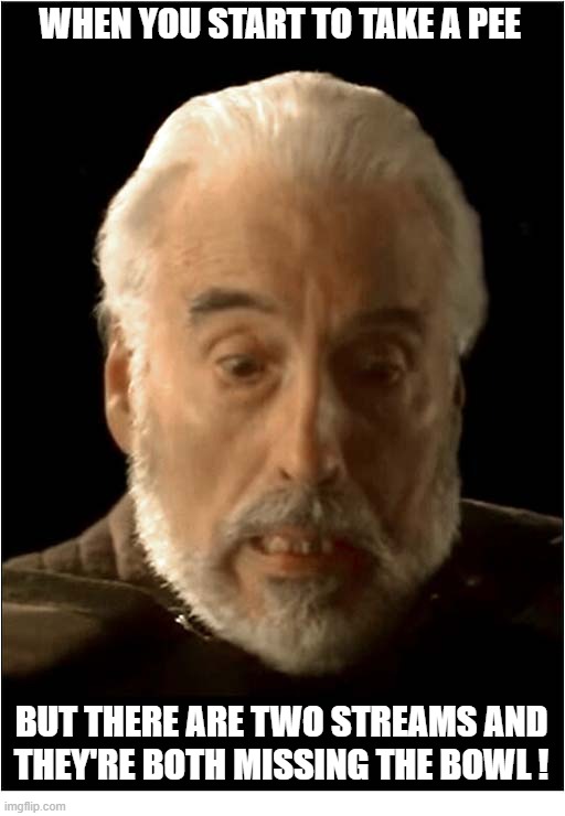 Only Half Of You Will Get This ! | When you start to take a pee; but there are two streams and
They're both missing the bowl ! | image tagged in peeing,missing,toilet,floor | made w/ Imgflip meme maker