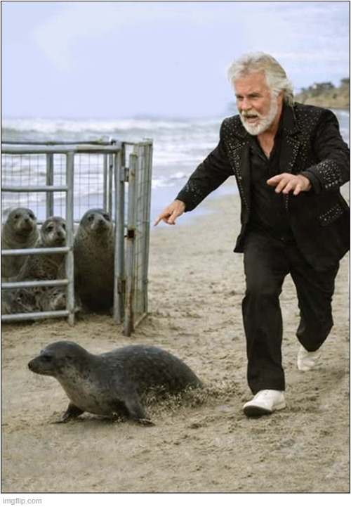 Name That Tune ! | image tagged in name that tune,kenny rogers,seal,escape | made w/ Imgflip meme maker